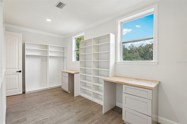 spacious closet featuring built in desk and light hardwood / wood-style floors