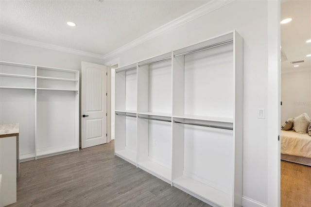 spacious closet featuring wood-type flooring