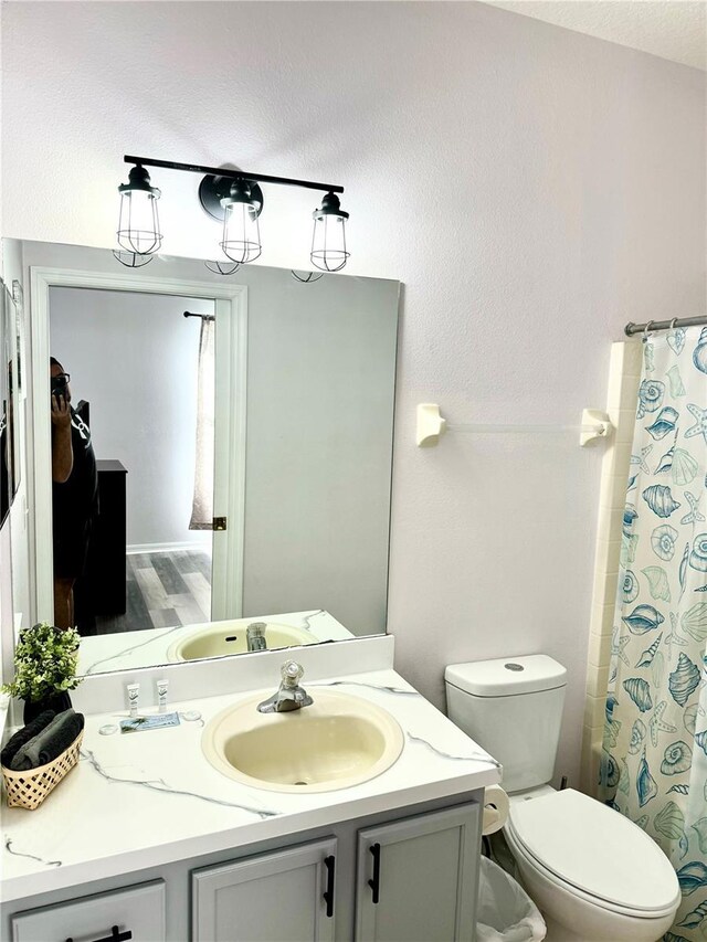 bathroom featuring vanity, toilet, wood-type flooring, and curtained shower