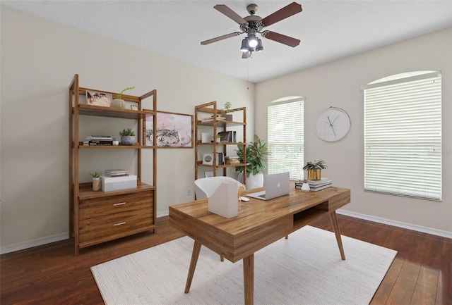 home office with ceiling fan and dark hardwood / wood-style flooring