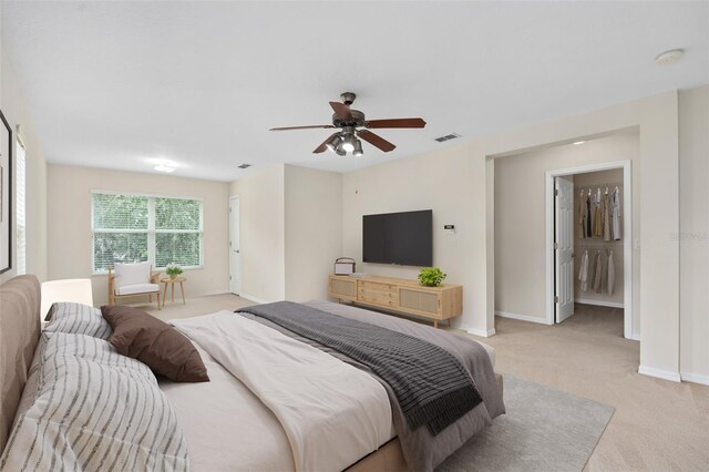 carpeted bedroom with ceiling fan and a walk in closet