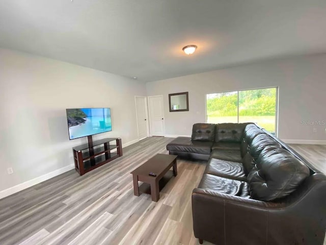 living room featuring hardwood / wood-style flooring