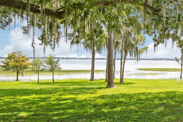 view of home's community with a lawn and a water view