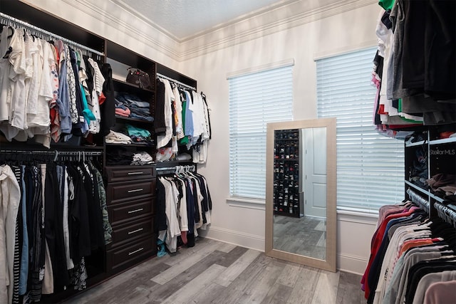 spacious closet featuring light wood-type flooring