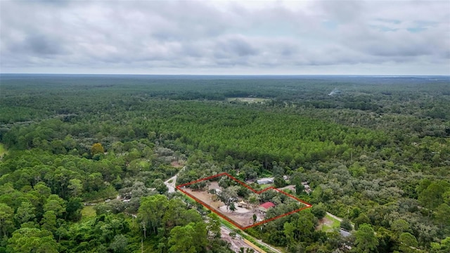 21343 SE 142nd Pl, Umatilla, FL 32784 - photo 59