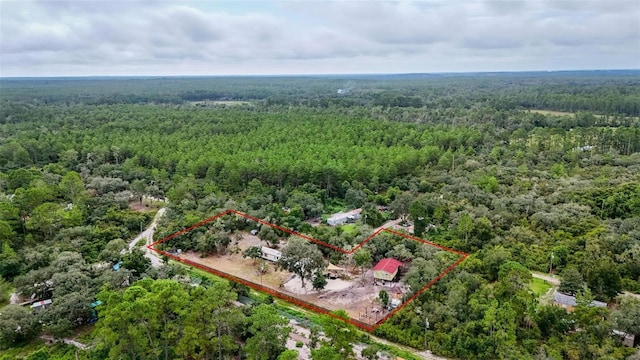 21343 SE 142nd Pl, Umatilla, FL 32784 - photo 60