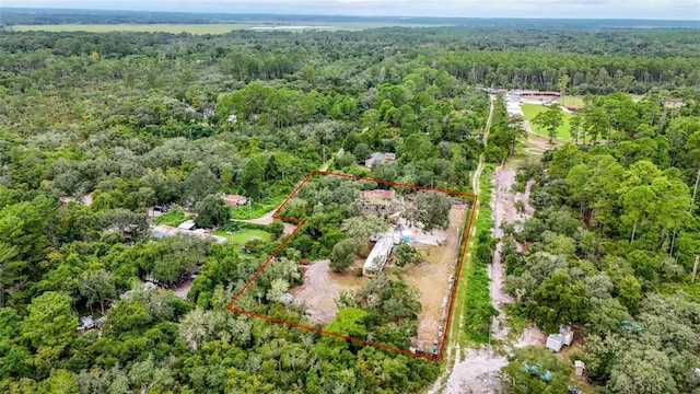 21343 SE 142nd Pl, Umatilla, FL 32784 - photo 63
