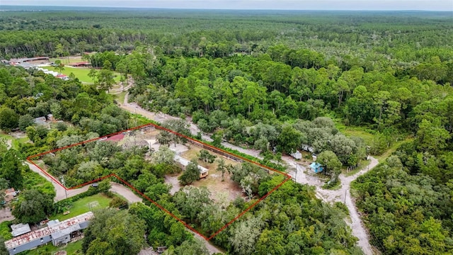 21343 SE 142nd Pl, Umatilla, FL 32784 - photo 64
