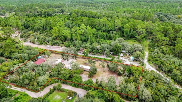 21343 SE 142nd Pl, Umatilla, FL 32784 - photo 65