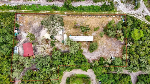 21343 SE 142nd Pl, Umatilla, FL 32784 - photo 66