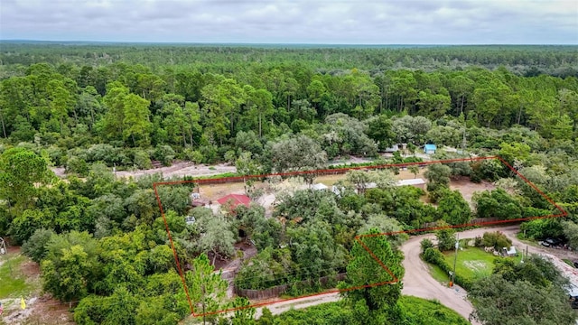 21343 SE 142nd Pl, Umatilla, FL 32784 - photo 67