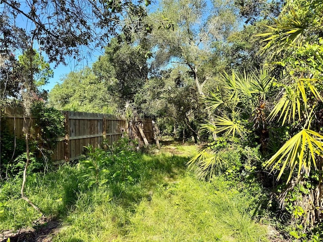 21343 SE 142nd Pl, Umatilla, FL 32784 - photo 52