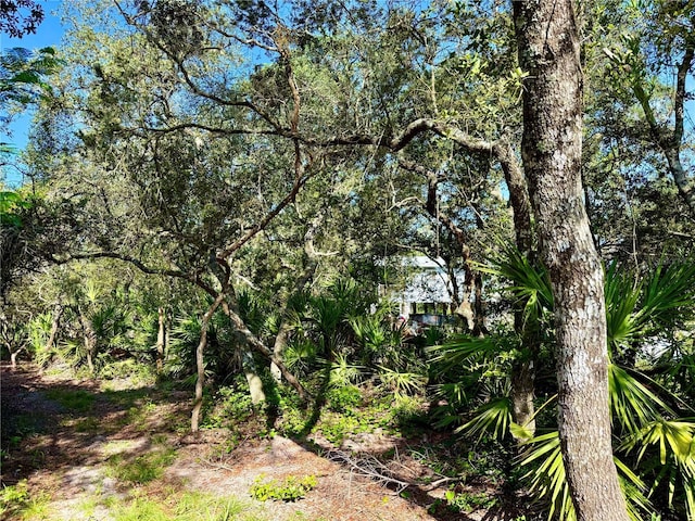 21343 SE 142nd Pl, Umatilla, FL 32784 - photo 53