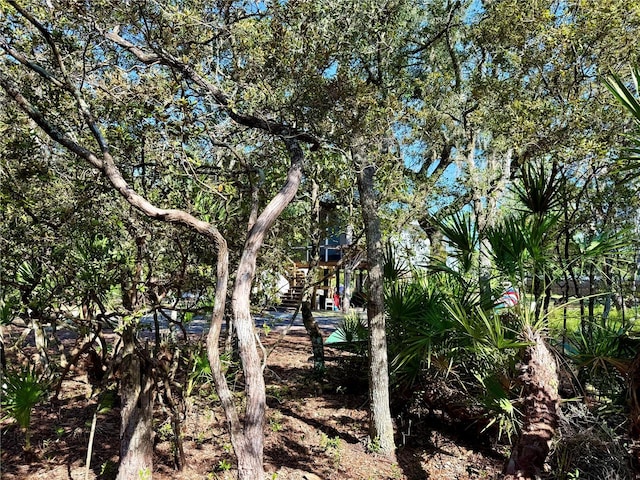 21343 SE 142nd Pl, Umatilla, FL 32784 - photo 55