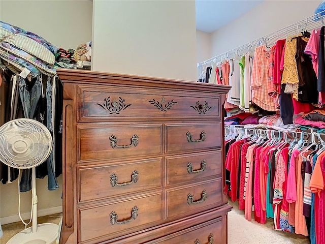 spacious closet with light carpet