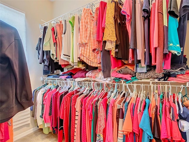 walk in closet with carpet floors