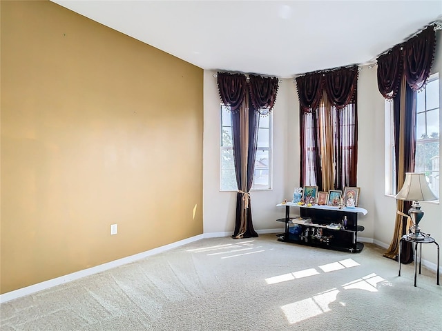 interior space with light colored carpet