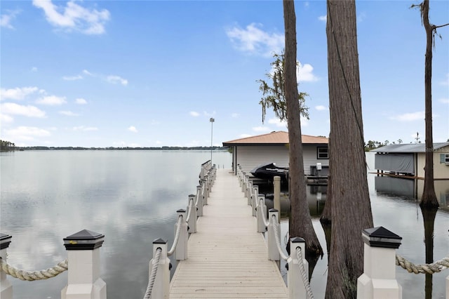 dock area with a water view