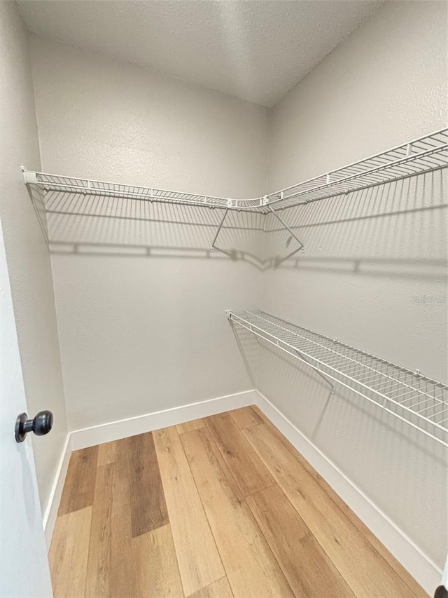 walk in closet with wood-type flooring