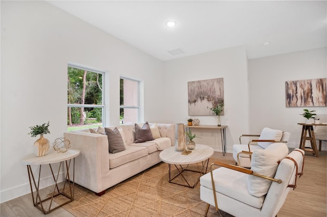 living room featuring light hardwood / wood-style flooring