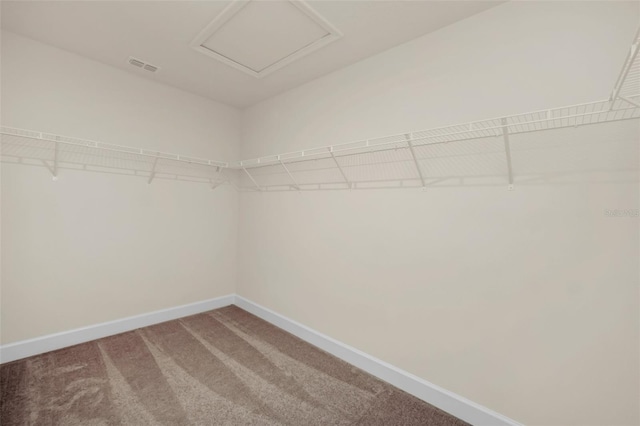 walk in closet featuring carpet flooring