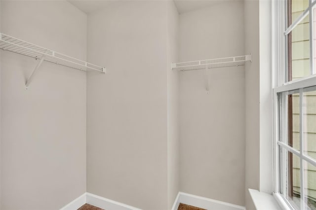 view of walk in closet