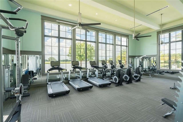 gym featuring a high ceiling, carpet flooring, and plenty of natural light