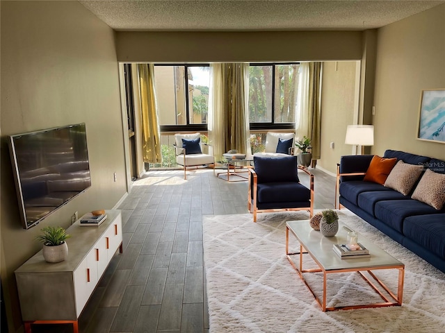 living room with wood-type flooring and a textured ceiling