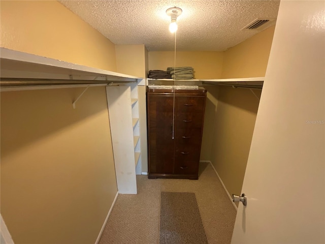 spacious closet with light colored carpet