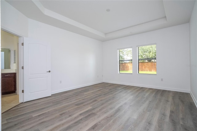 spare room with light wood-type flooring and a raised ceiling