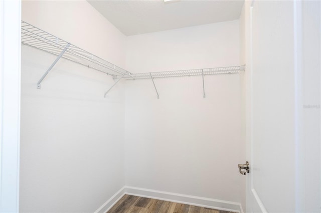 walk in closet featuring wood-type flooring