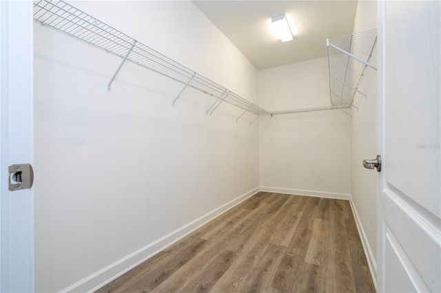 walk in closet featuring hardwood / wood-style flooring