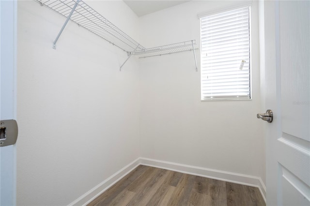 spacious closet featuring wood-type flooring