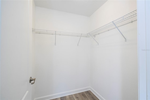 walk in closet with wood-type flooring