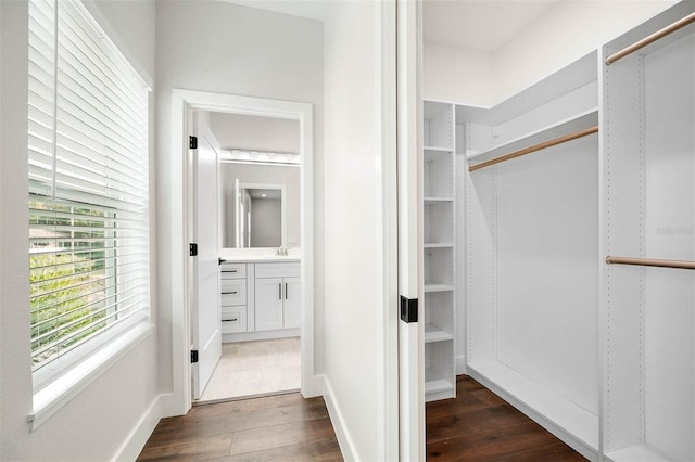 walk in closet featuring sink and dark wood-type flooring