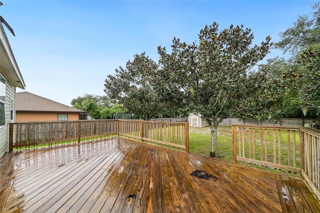 wooden terrace with a storage shed and a lawn