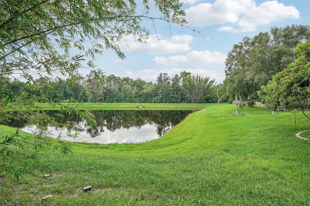 property view of water