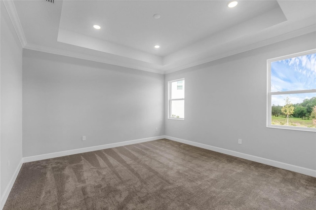 carpeted empty room featuring a tray ceiling, a wealth of natural light, and crown molding