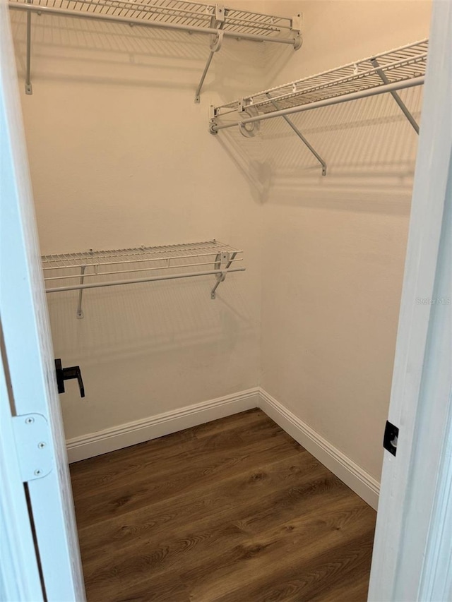 walk in closet featuring dark wood-type flooring