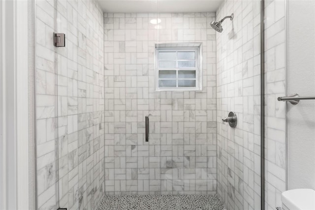 bathroom featuring toilet and walk in shower