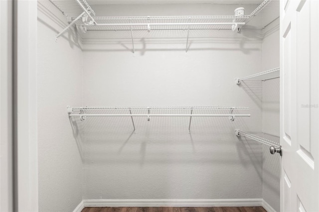 spacious closet featuring wood-type flooring