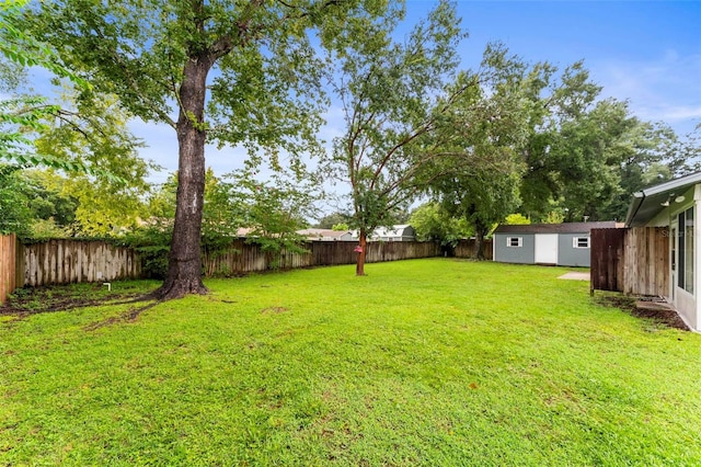 view of yard featuring a shed