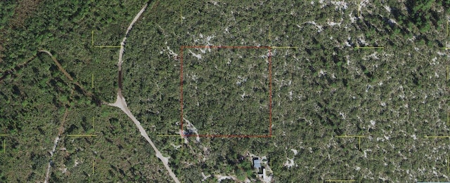 Holopaw Groves Rd, Saint Cloud FL, 34773 land for sale