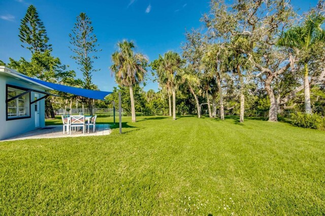 view of yard featuring a patio area