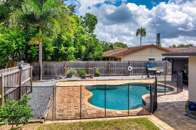 view of swimming pool with a patio