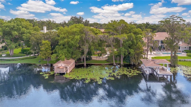 bird's eye view with a water view