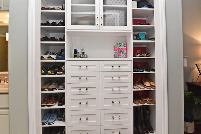 view of closet