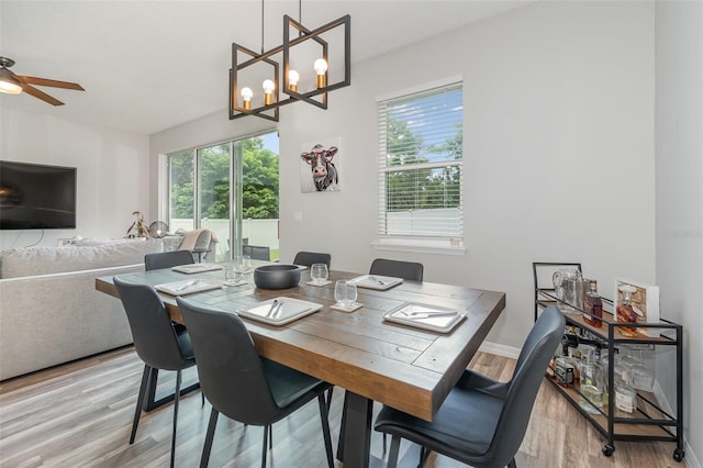 dining room with ceiling fan with notable chandelier and light hardwood / wood-style floors