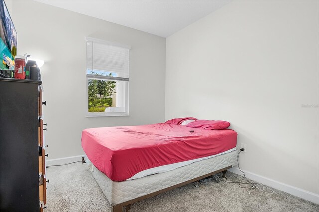 bedroom with carpet flooring