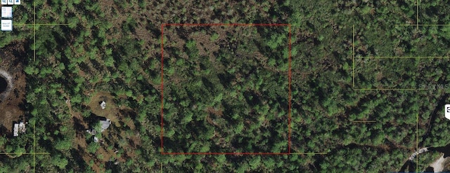 Holopaw Groves Rd, Saint Cloud FL, 34773 land for sale